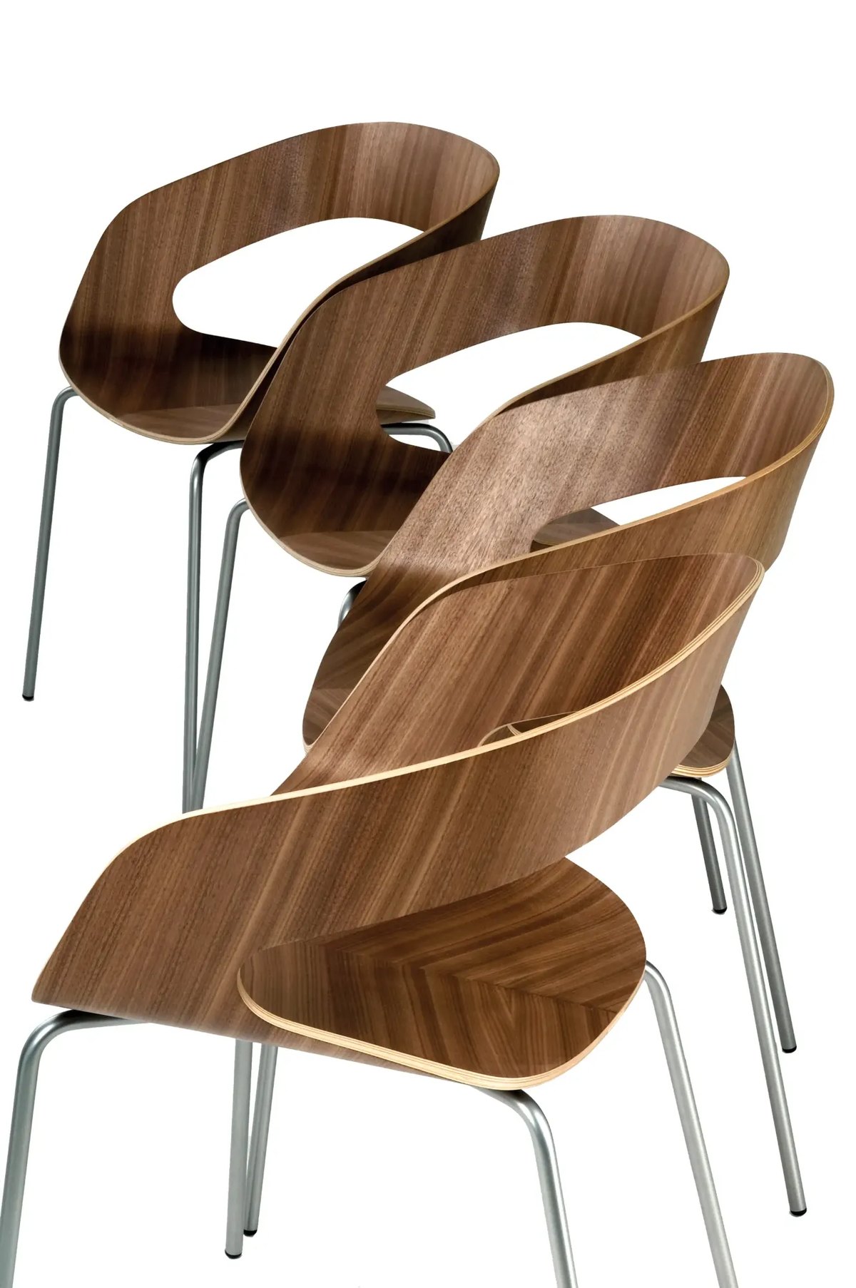 Coques en bois moulé de la chaise Chat en finition noyer, révélant le galbe enveloppant et le veinage du bois