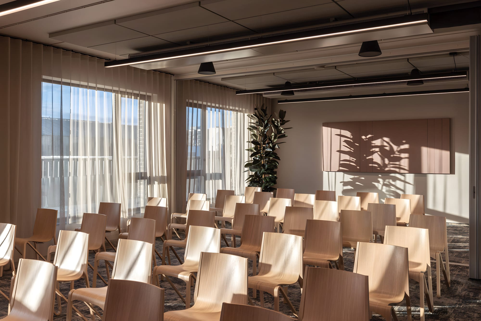 Les chaises Zesty disposées en rangées dans une salle de cérémonie contemporaine baignée de lumière